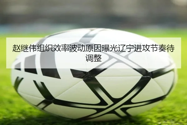 赵继伟组织效率波动原因曝光辽宁进攻节奏待调整 | mksportsapp